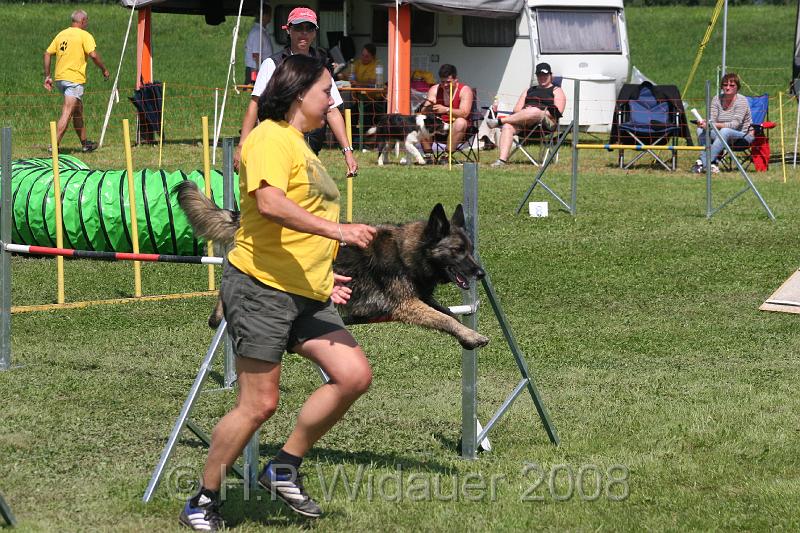 jubil.lusten. 295.jpg